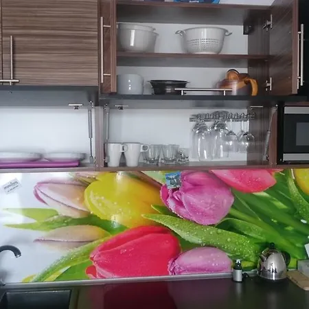 Masovia Apartment